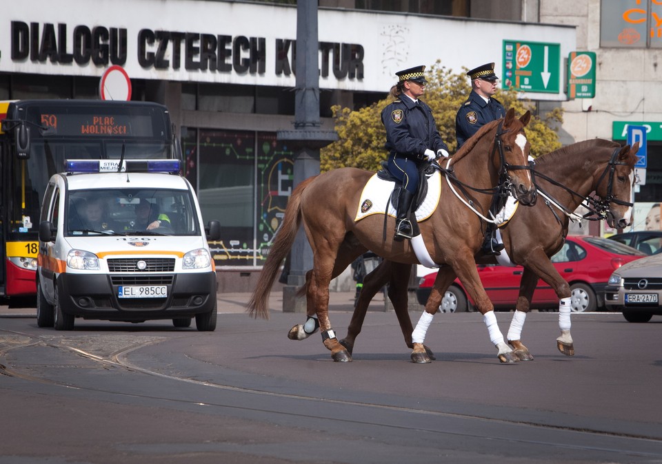 ŁÓDŹ SZKOLENIE KONNEJ STRAŻY MIEJSKIEJ