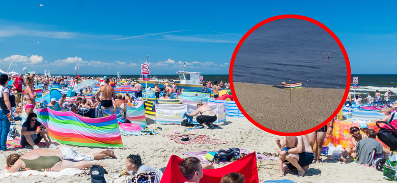 Pierwsza sobota września, godz. 7.55. Tak wyglądała plaża w Stegnie