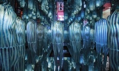 Projekt (Nie)chciane sny. 'Nie da się wyjść z traumy, starając się przetrwać w milczeniu' [WYWIAD]