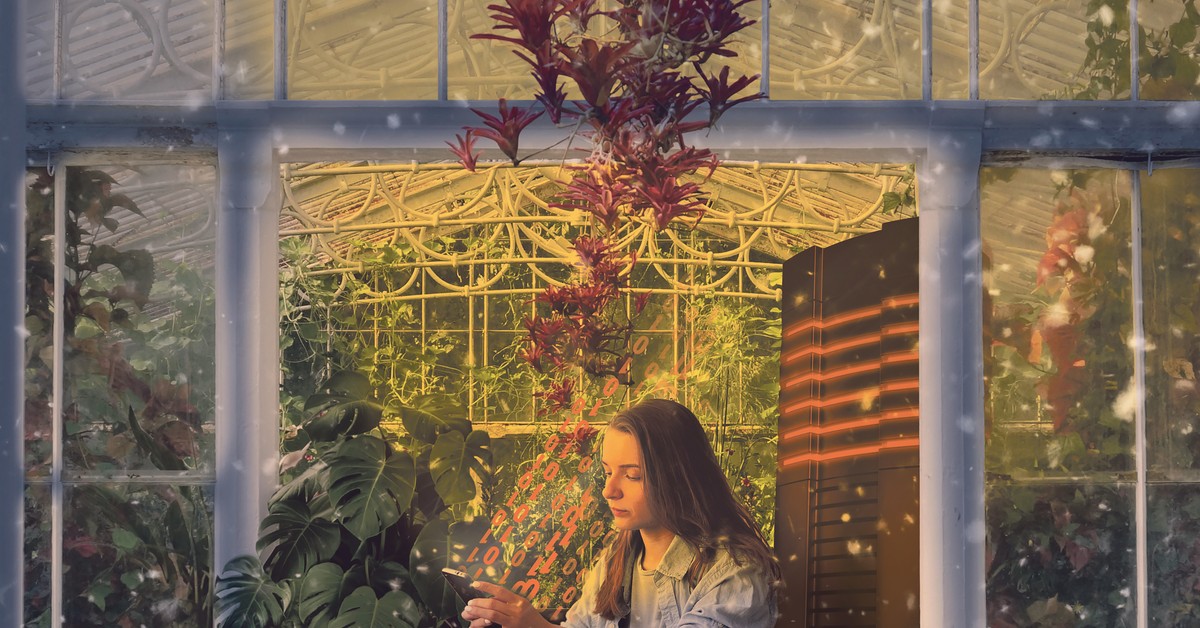 Dlaczego sztuczna inteligencja działa na nasze mózgi jak szklarnia?