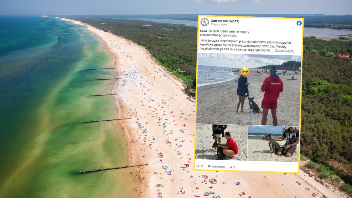 Turysta zaatakowany przez psa na plaży. WOPR: "To nie jest nasza rola"