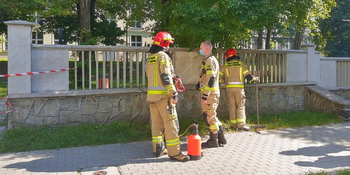 Strażacy opryskują mur okalający plac zabaw przy ul. Dunikowskiego w Katowicach. 