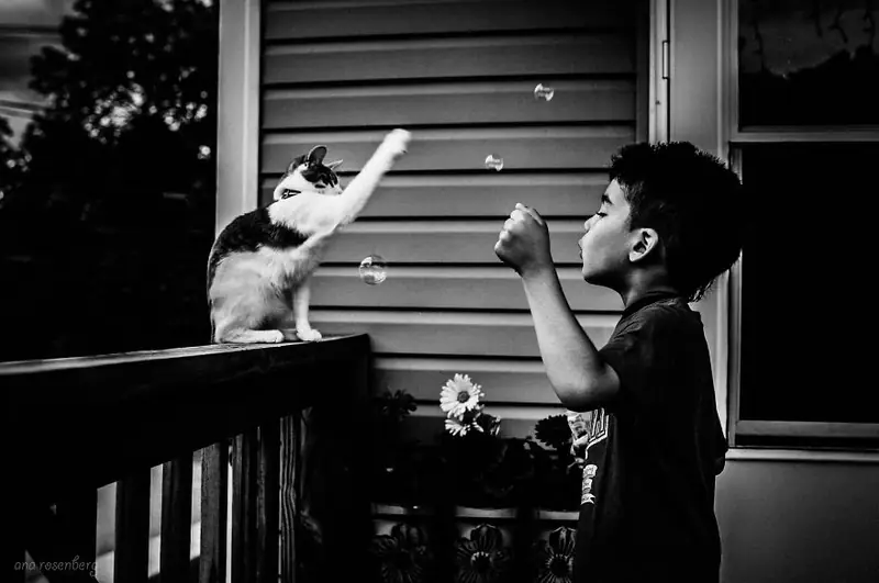 boy-and-his-pets__880