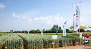 Rolnicy mówią: wybieram INNVIGO