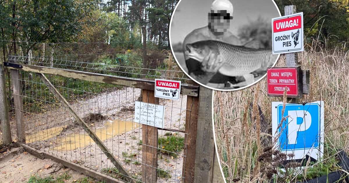 Tragedia pod Zieloną Górą. Psy zagryzły grzybiarza. Były szkolone do służby?