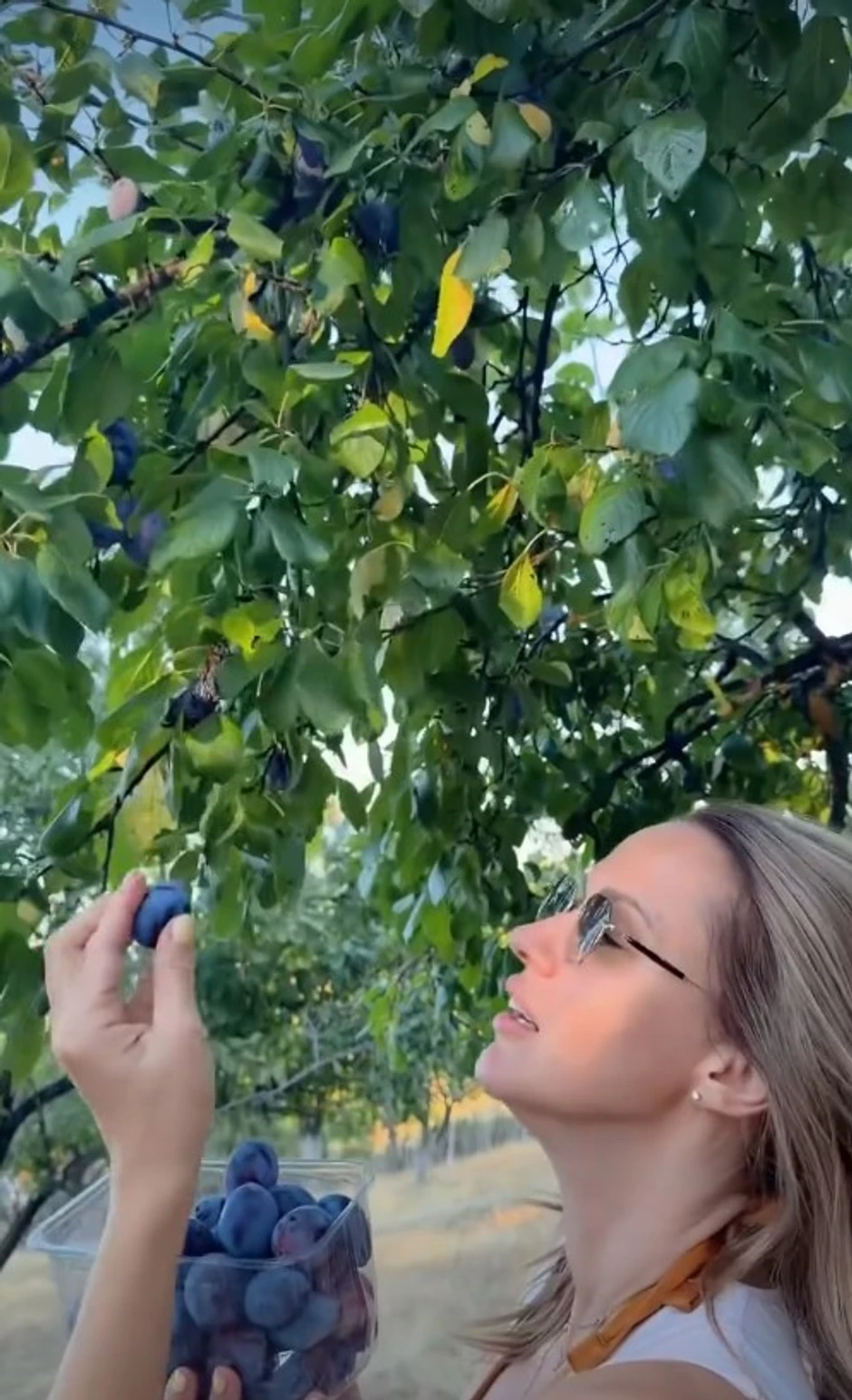 Bojana Barović, objava