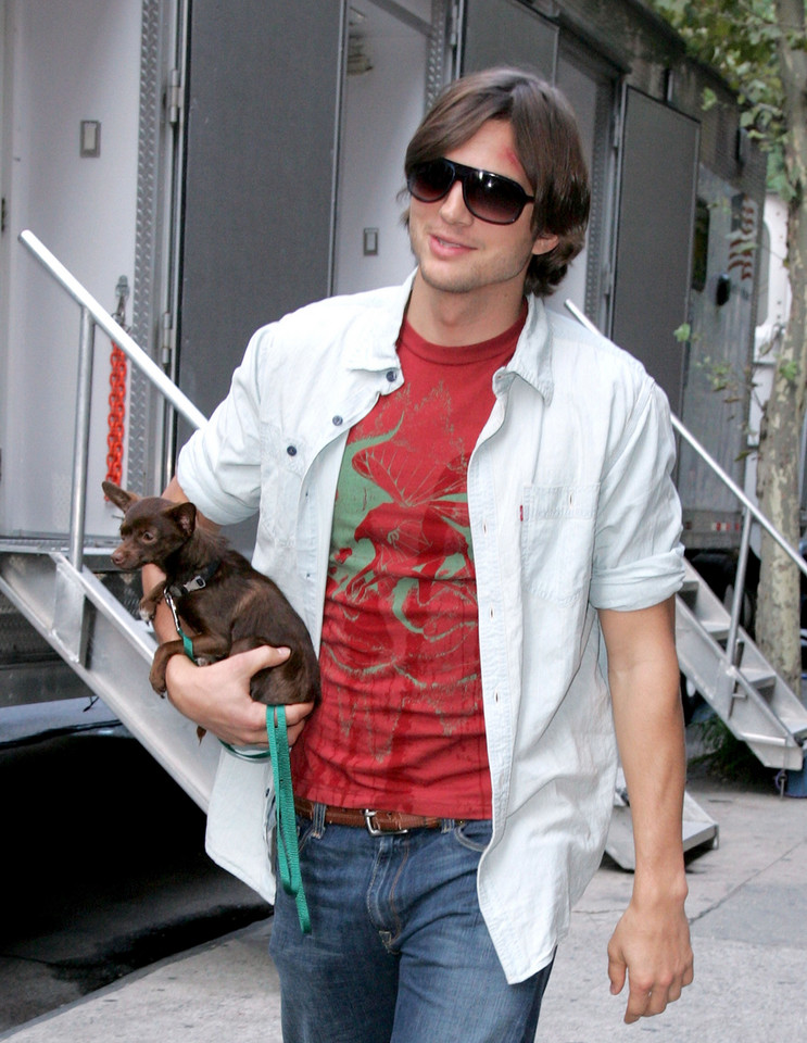 Ashton Kutcher