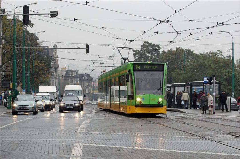 Pestka wlecze się jak żółw!