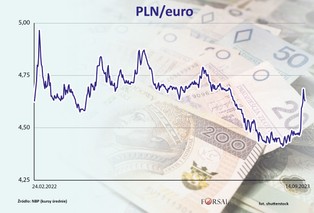 „Słaby” złoty to też wina NBP? [OPINIA]
