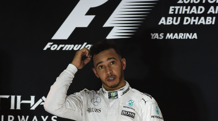 Hamilton végül második lett 
az idei világbajnoki sorozatban /Fotó: AFP