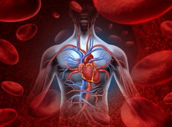 Jakie tajemnice skrywa twoje ciało? Zobacz