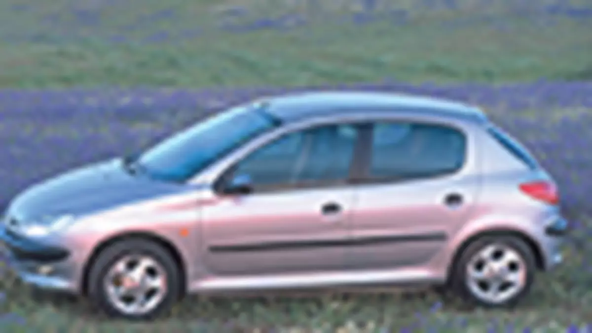 Peugeot 206 - Maluch o wielu obliczach