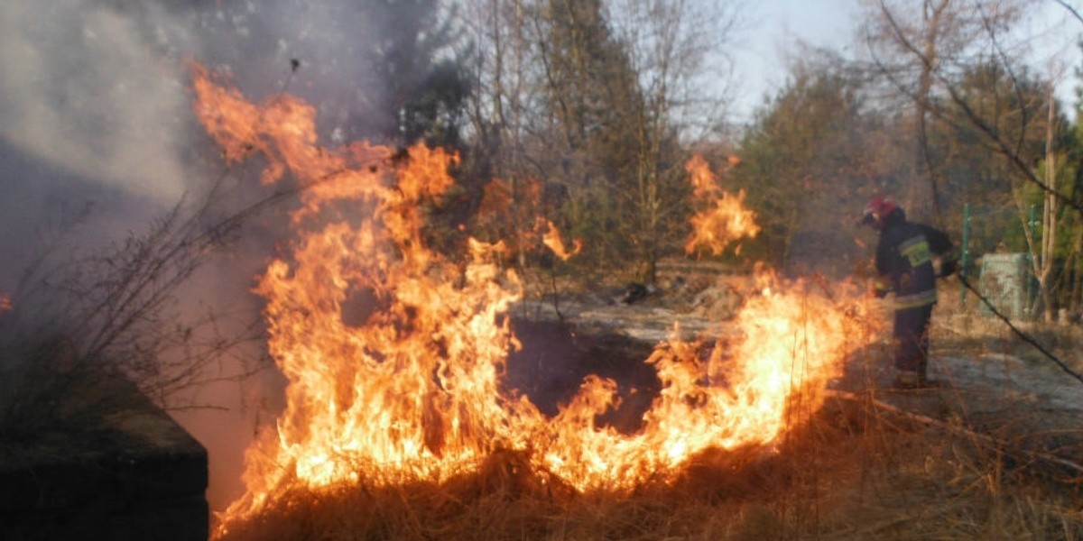 Plaga pożarów w Warszawie.