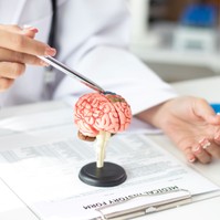 Az Alzheimer-kór rejtélyesebb, mint eddig hittük – új kutatás tárta fel a háttérben zajló folyamatokat