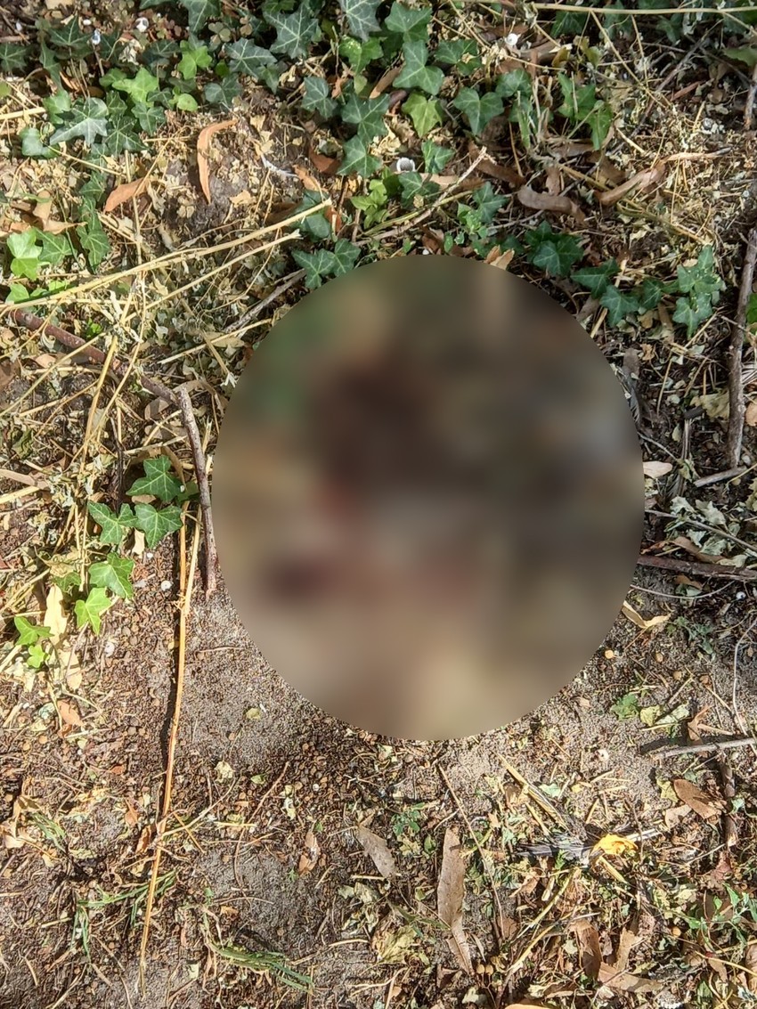 Mladić pao sa 4. sprata zgrade