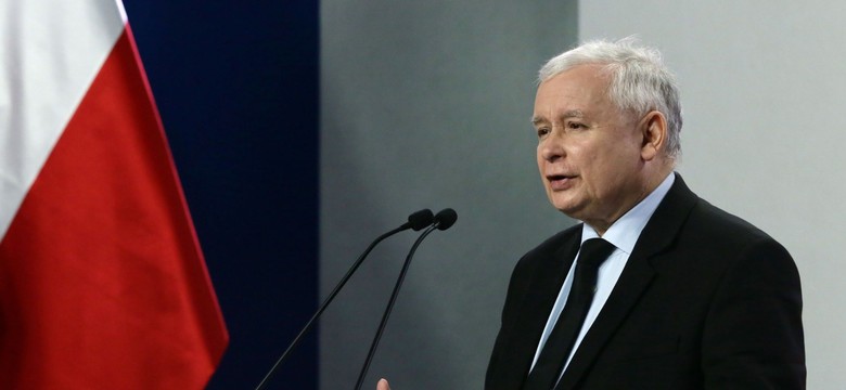 Kaczyński zapowiada: Będzie poprawka do ustawy dot. wycinki drzew