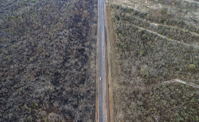 Zgliszcza po pożarze