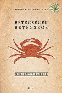 rak-betegseg-d00001C4549e964b18a5b