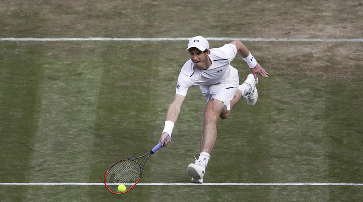 Andy Murray /Fotó: AFP