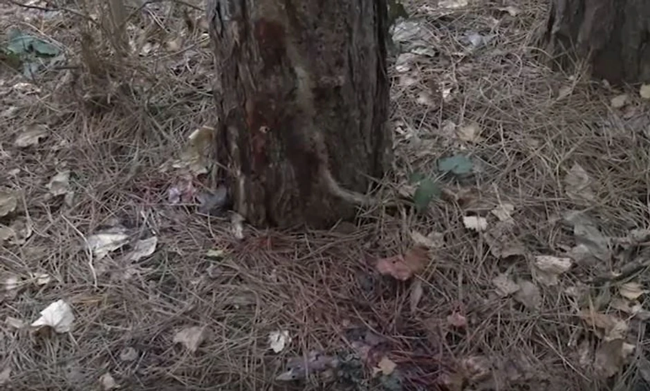 Mesto na kom je pretučen Spasojević