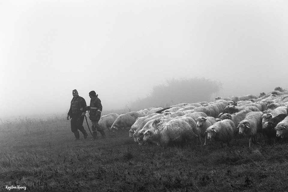 Beskid Niski: Redyk 2019