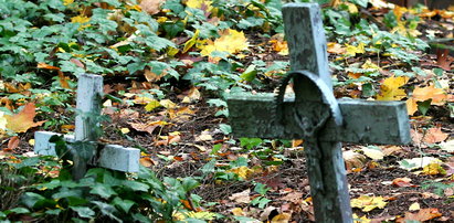 Straszna pomyłka na cmentarzu. Rozkopali nie ten grób