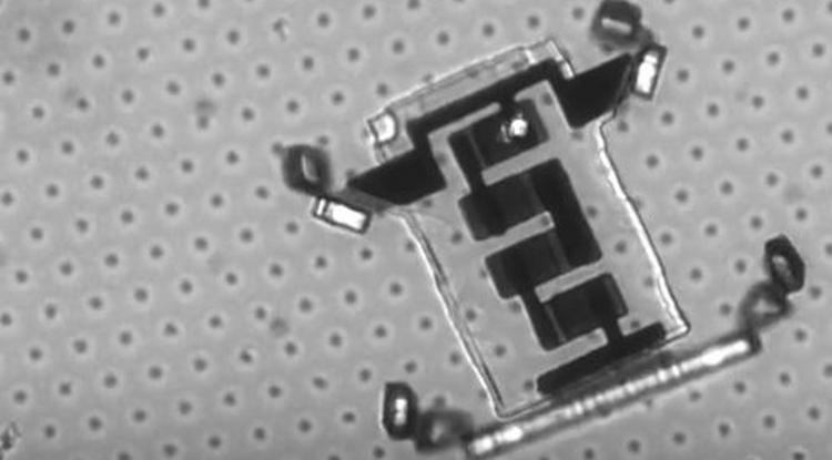 Mikroszkopikus robot