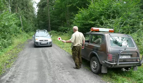 Samochodem w las. Kiedy można wjechać, a kiedy nie?