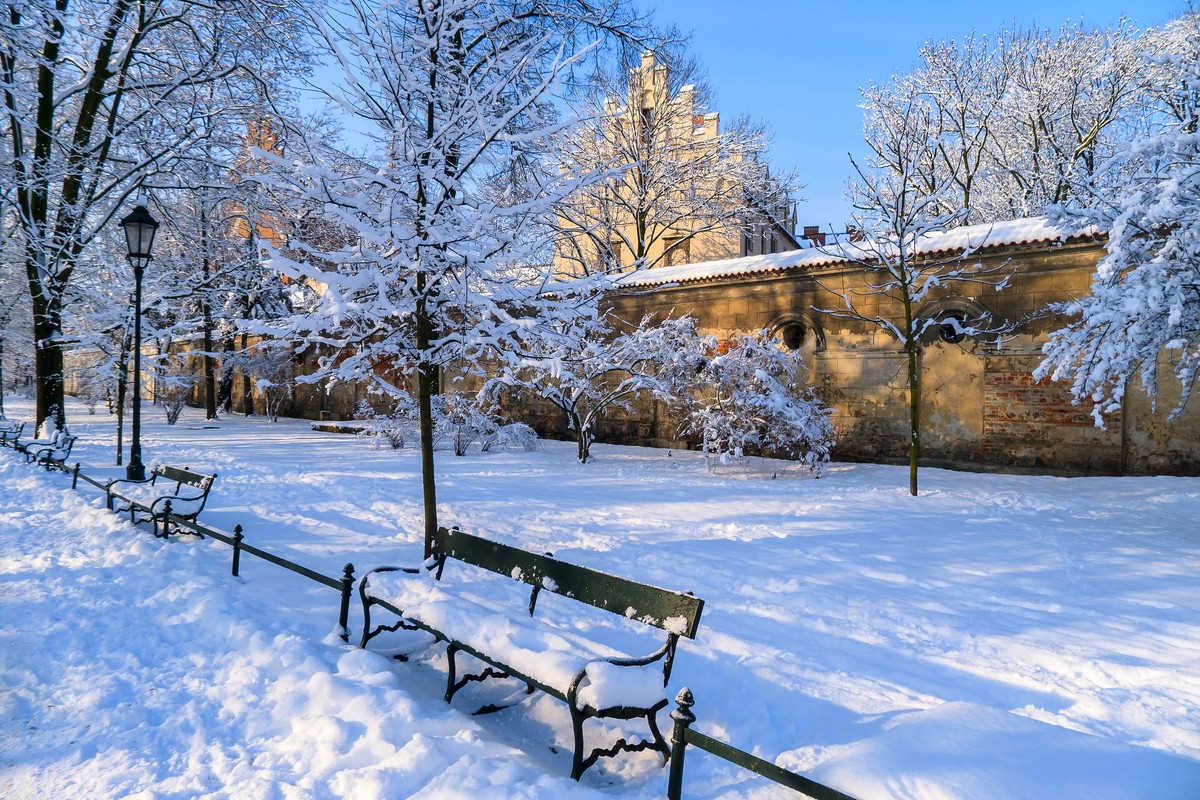 Winter,Scene,Park,Bench,Covered,Snow,Early,Morning,Cold,Day,