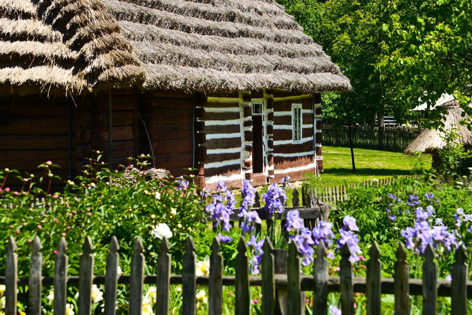 Bieszczady to jeden z najbardziej dzikich i tajemniczych zakątków Polski