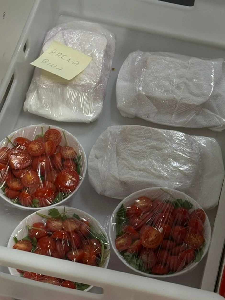 Brenine "odaje" pred koncert