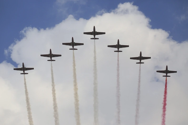 Vežba poljske avijacije