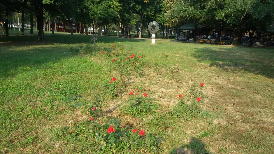 Cvetni zasadi ispred krsta