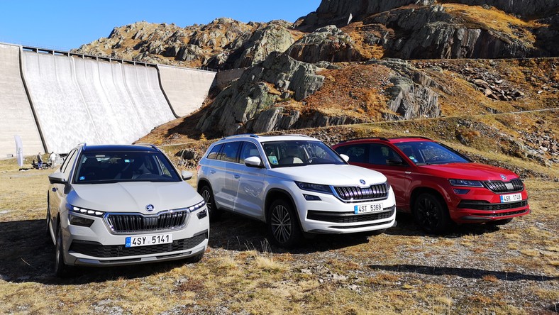 Skody Kamiq Karoq I Kodiaq Czyli Suv Na Miare Test