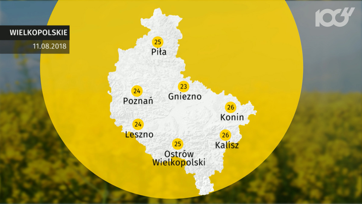 Pogoda Poznań na dziś. Prognoza pogody 2018-08-11