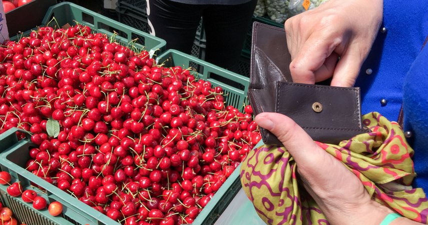 Los precios de las cerezas no son altos en absoluto.  Pero nadie quiere comprarlo