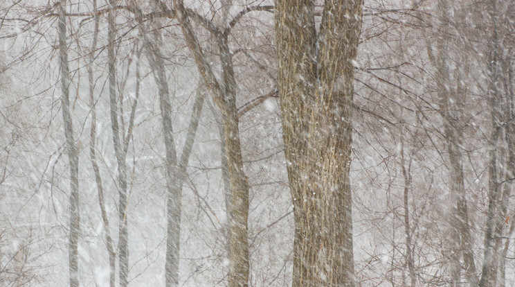 Óriási hóvihar bénította meg Erdélyt a hétvégén / Fotó: Northfoto