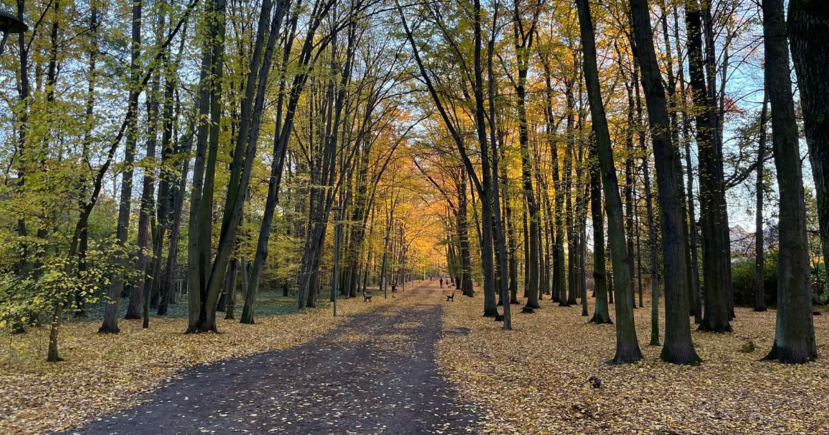 Aleja Romera odzyska blask