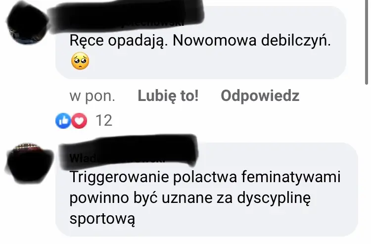 Reakcje na feminatywy w artykułach