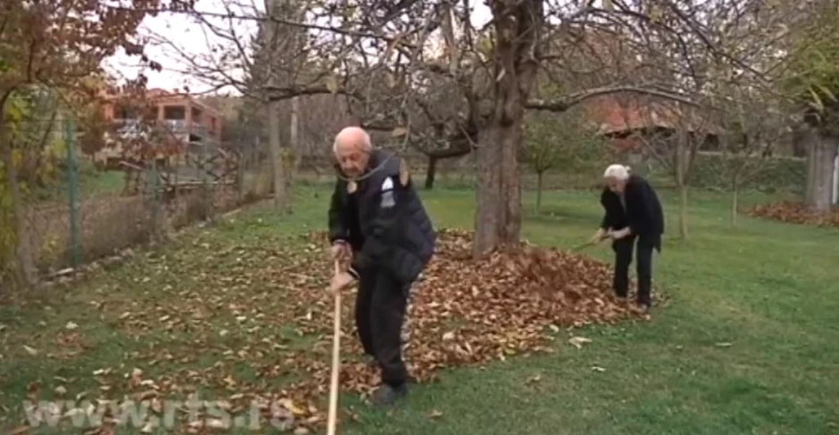 Tomislav i Jagoda sve zajedno rade