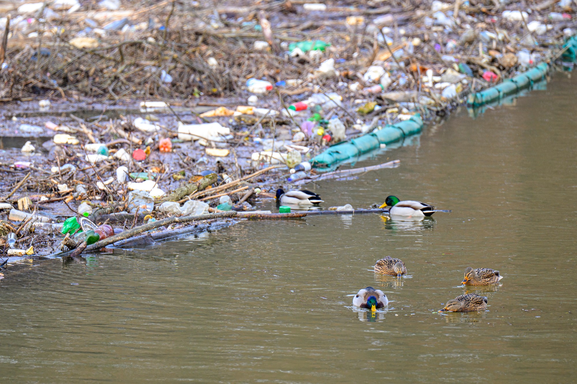 Vodnú nádrž Ružín opäť zaplavili tony odpadu.