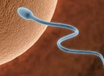 8 sperm-killing foods that dads need to avoid!