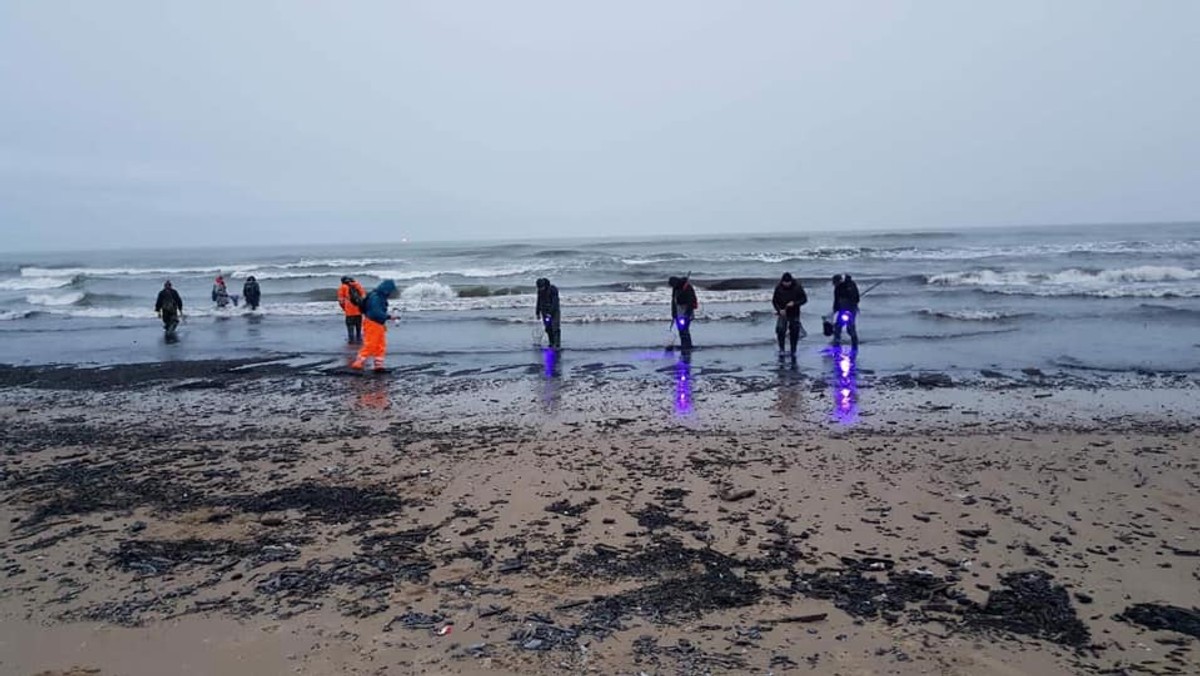 Poszukiwacze bursztynu. "Gorączka" na gdańskich plażach