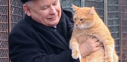 Jarosław Kaczyński z cudzym kotem. Dokarmia potrzebujących