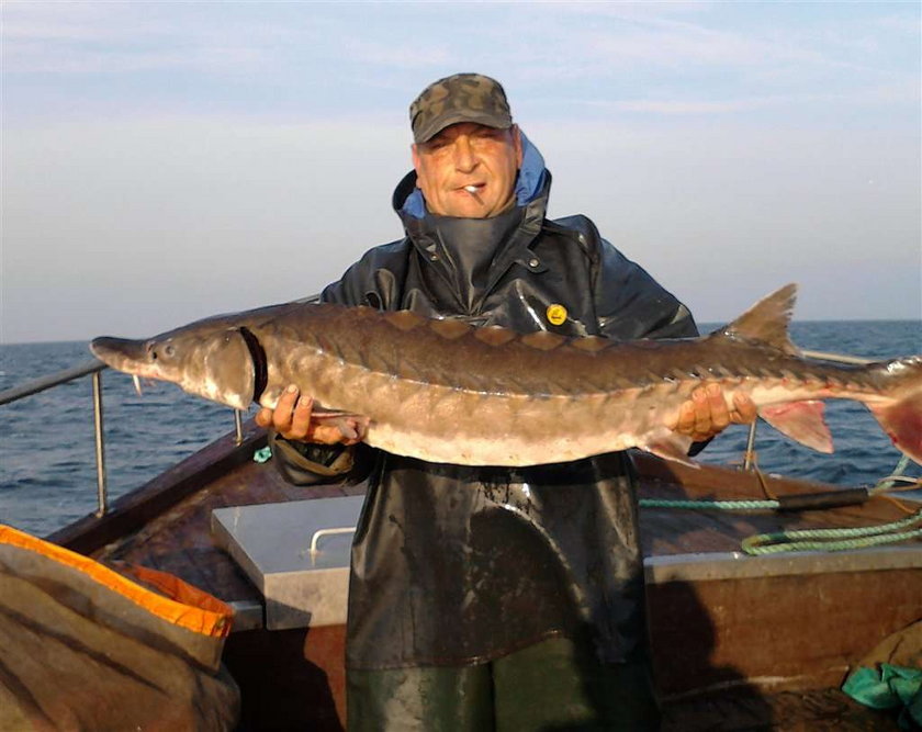 Niesamowite! Złowił wymarłą rybę w Bałtyku! FOTO