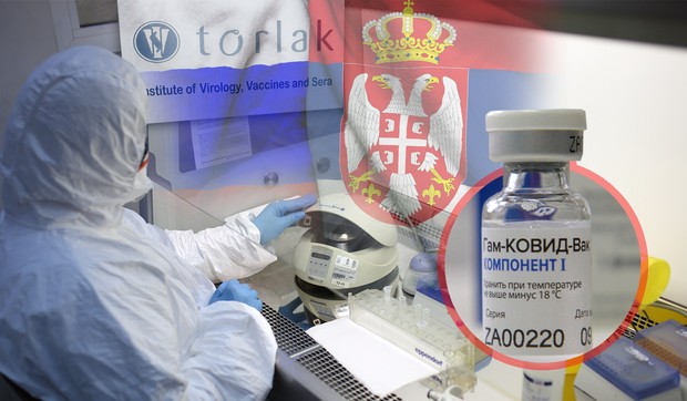 Torlak vakcina proizvodnja