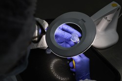 Pytania, które czekają na odpowiedź. Jak rozmawiać z przeciwnikiem?