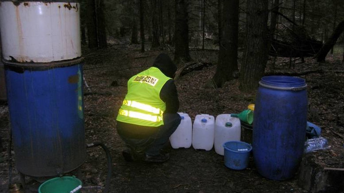 Dwóch mężczyzn przyłapali podlascy celnicy na nielegalnej produkcji alkoholu w Puszczy Knyszyńskiej. Razem z nimi w ręce funkcjonariuszy wpadło sto litrów bimbru, zwanego w tych okolicach "duchem puszczy".