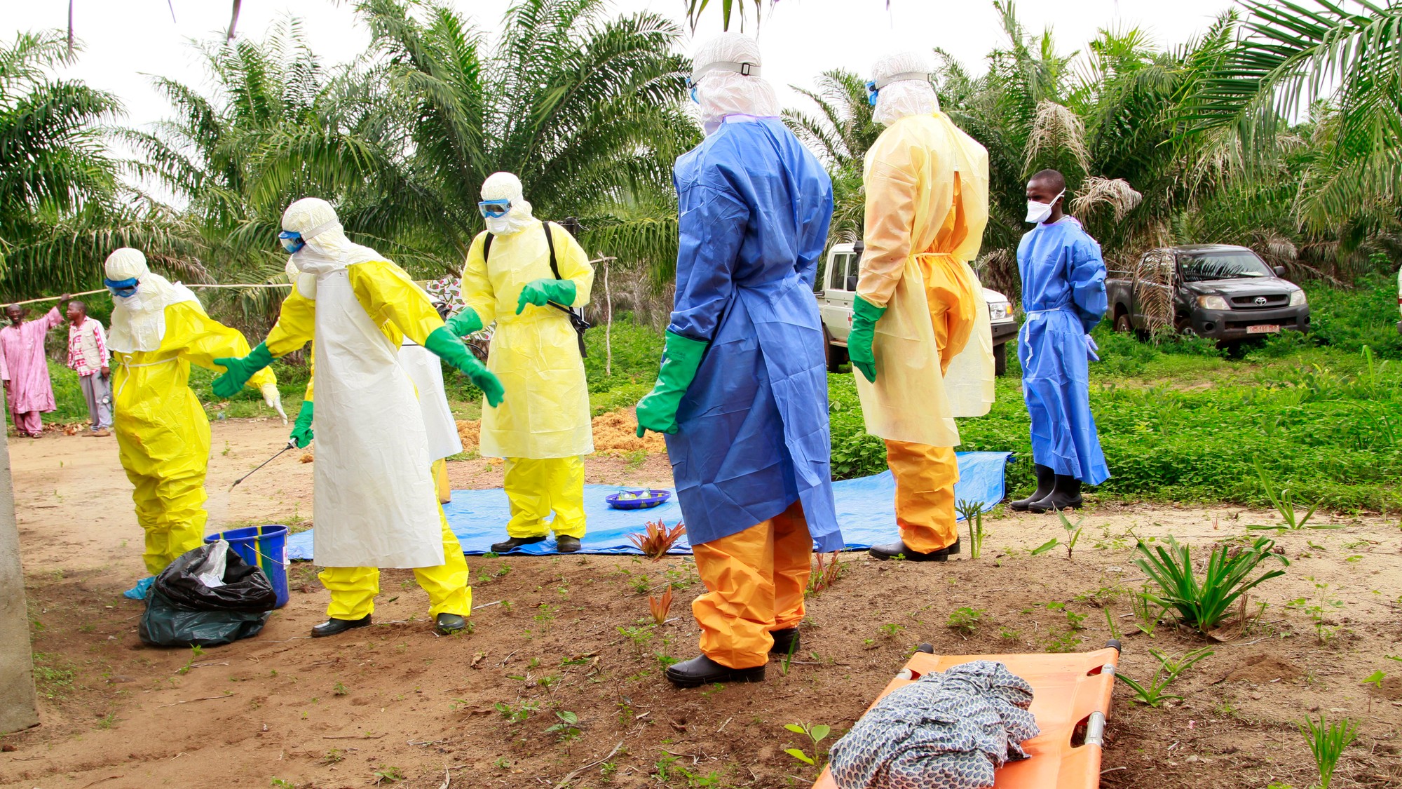 Ebola