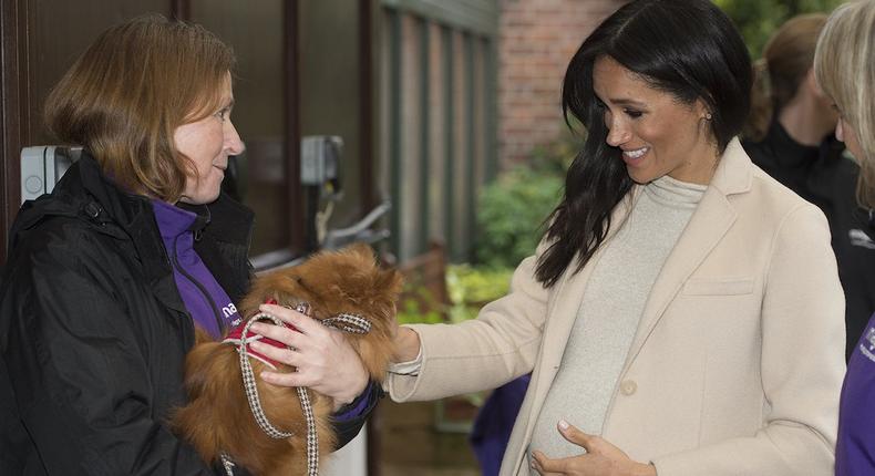 meghan markle mayhew dog charity